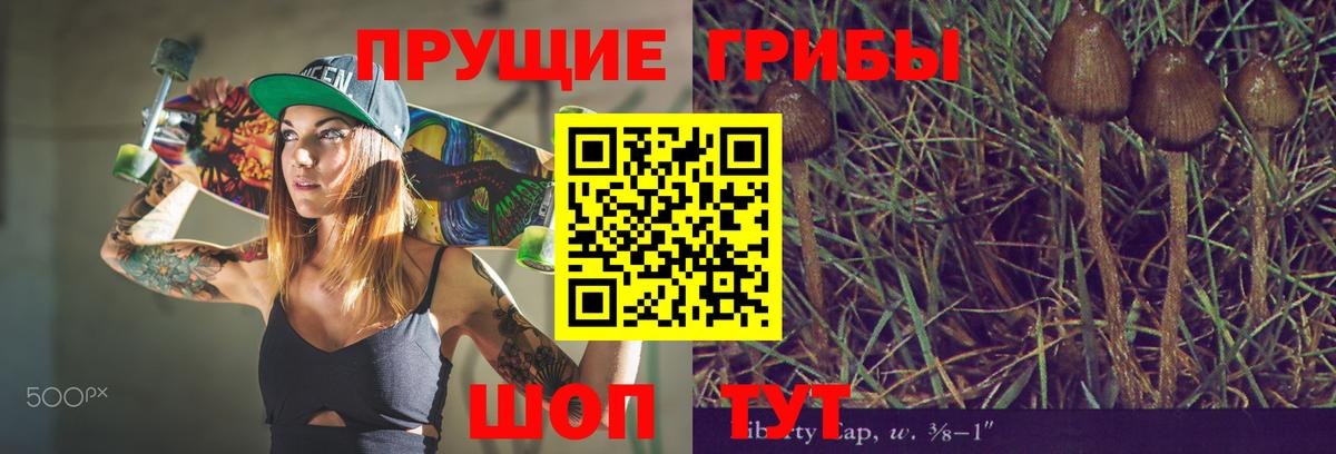 Псилоцибиновые грибы MAGIC MUSHROOMS Тобольск